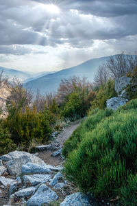 Scenic view of land against sky