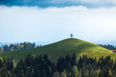 Scenic view of land against sky