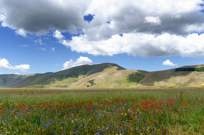 Scenic view of grassy field against cloudy sky