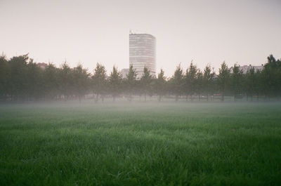 Scenic view of field and trees against sky