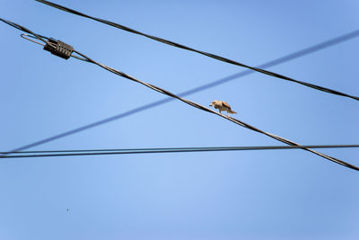 Low angle view of power lines against clear blue sky