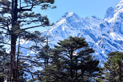 Low angle view of snowcapped mountain against sky