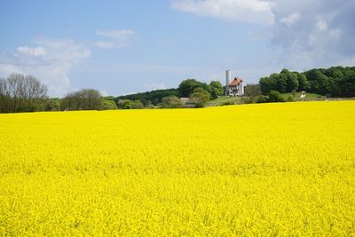 Scenic view of field against sky