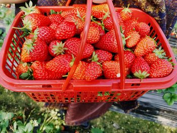 High angle view of fruits in market