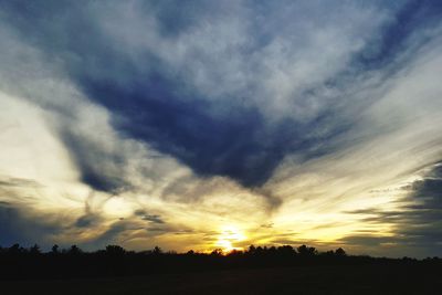 Silhouette trees on field against sky at sunset