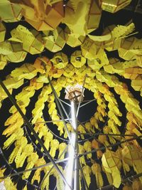 Close-up of yellow leaves