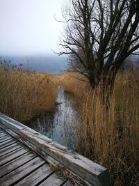 Scenic view of lake by trees against sky