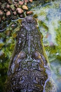 Water flowing through rocks