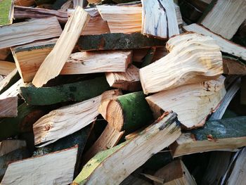 Close-up of logs