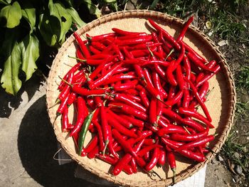 High angle view of red chili peppers in container