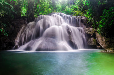 Scenic view of waterfall in forest