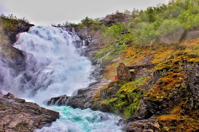 beauty in nature