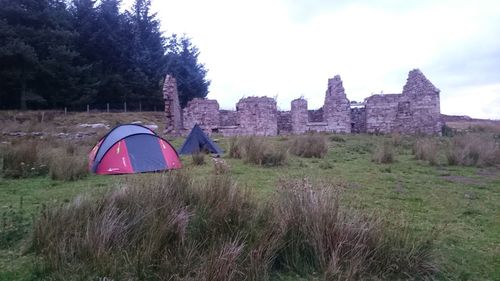 People walking on grassy field