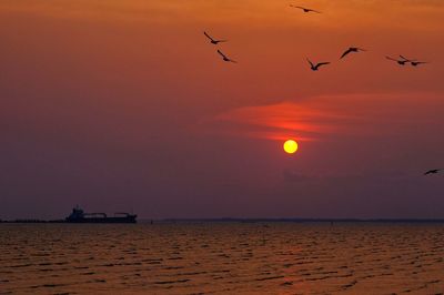 Silhouette birds flying over sea against orange sky