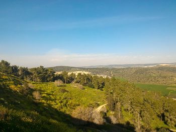 Scenic view of landscape against blue sky