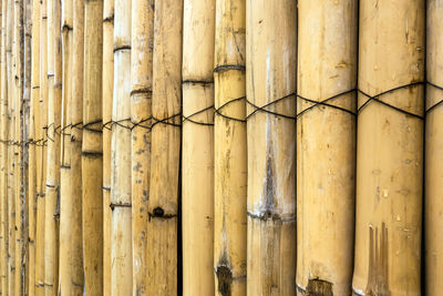 wood