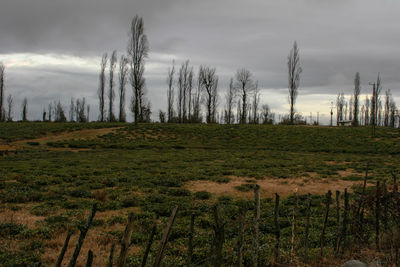 Scenic view of land against sky