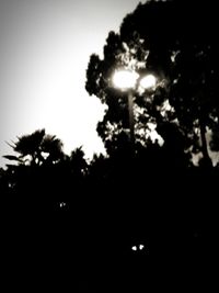 Low angle view of trees against sky