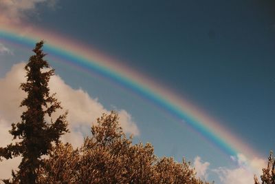 Low angle view of rainbow against sky