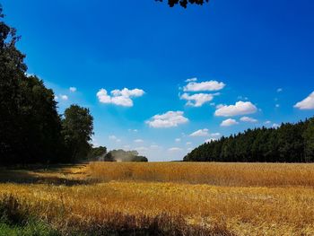 Scenic view of field against sky