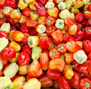 Full frame shot of bell peppers