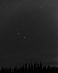 Low angle view of silhouette trees against sky at night