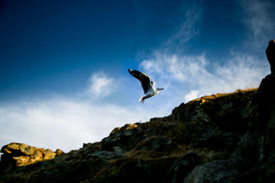 Low angle view of kite flying against cloudy sky