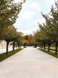 Footpath amidst trees in park against sky