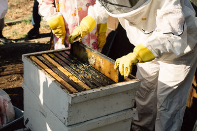 Taking out the honey at the bee farm