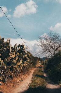 Stack of road amidst trees on field against sky