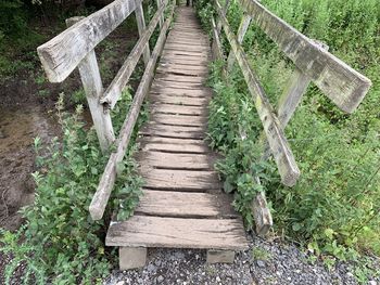 High angle view of wooden walkway amidst plants on field