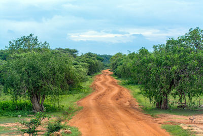 Empty country road