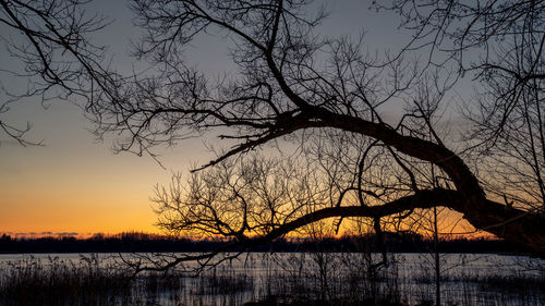 Silhouette bare tree by lake against sky during sunset