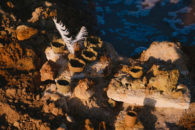 High angle view of rock on beach