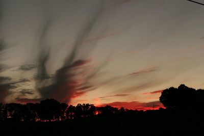 Silhouette of trees at sunset