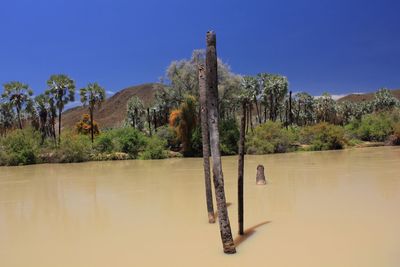 Scenic view of landscape against clear blue sky