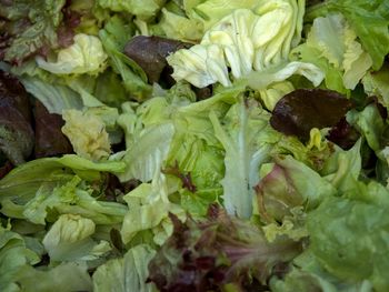 Full frame shot of vegetables