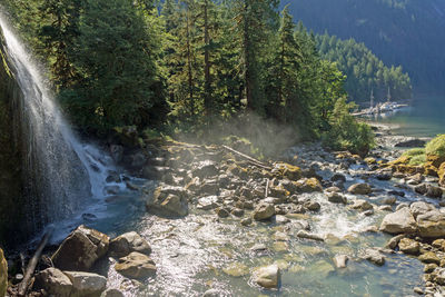 Scenic view of waterfall in forest