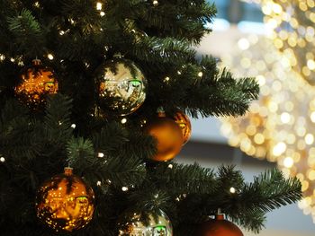 Close-up of illuminated christmas tree