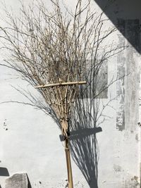Bare tree against sky during winter