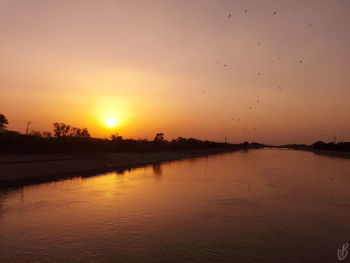 Silhouette birds flying over lake against sky during sunset