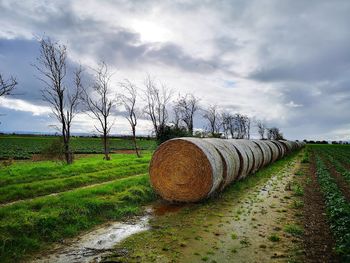 Hay bales on field against sky