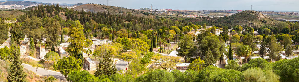 Panoramic view of trees and buildings