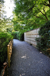 Road by fence against trees