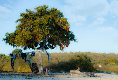 People sitting on field by tree against sky