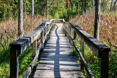 Wooden footbridge in forest