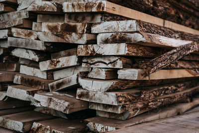 Stack of logs in forest