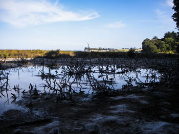 Scenic view of lake against sky