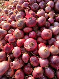 Full frame shot of onions