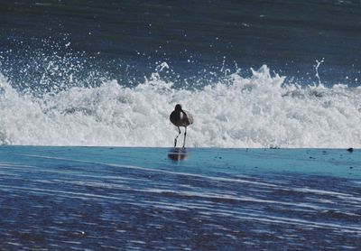 Scenic view of sea